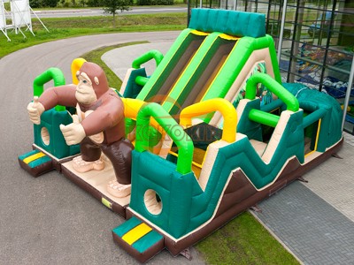 Inflatable Bouncer IB-22
